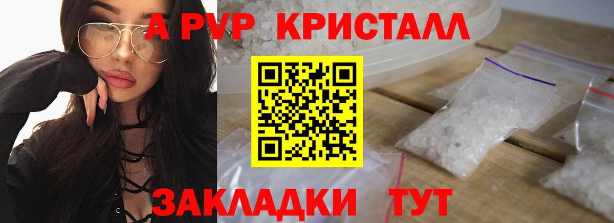 Alfa_PVP СК КРИС Сосновый Бор