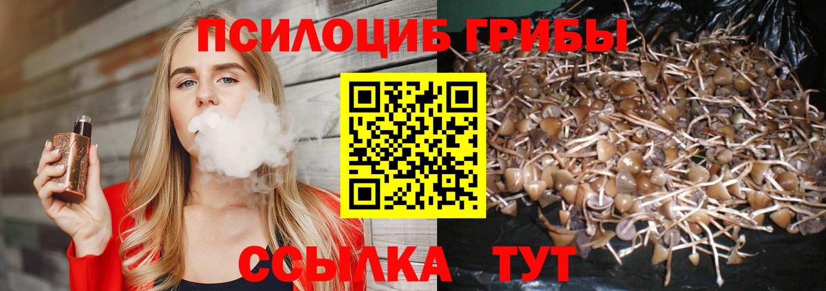 Сосновый Бор  Галлюциногенные грибы мицелий  Вход с VPN 