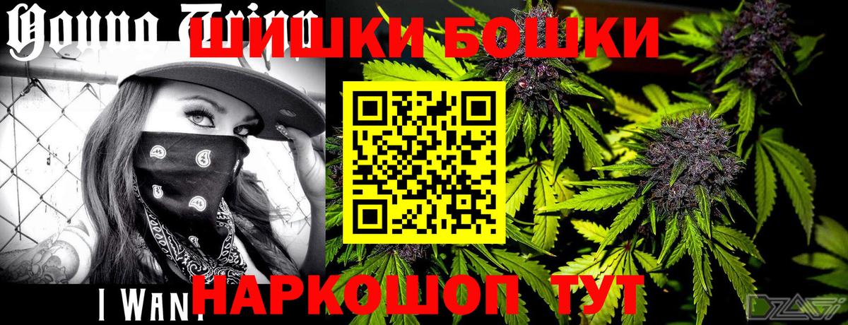 Бошки Шишки семена Сосновый Бор